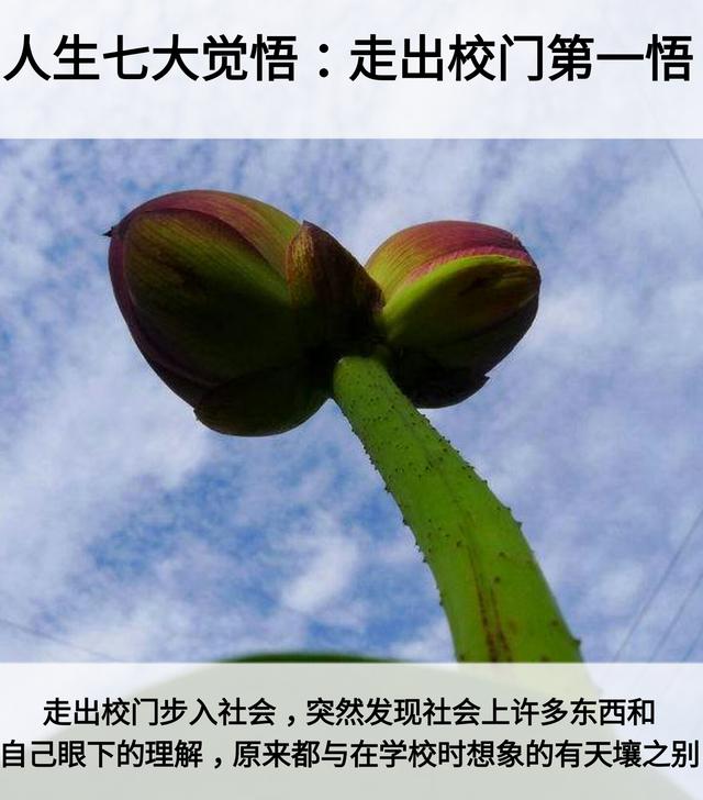人生：7层次，7道坎，7恩人，7觉悟，7境界