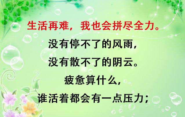 后半生：咋开心我就咋活，咋顺心我就咋过（写得真好）