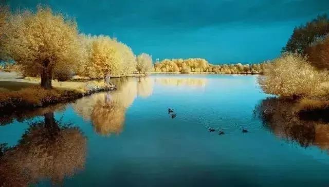 有一种美丽 叫淡到极致 有一种美丽 叫淡到极致