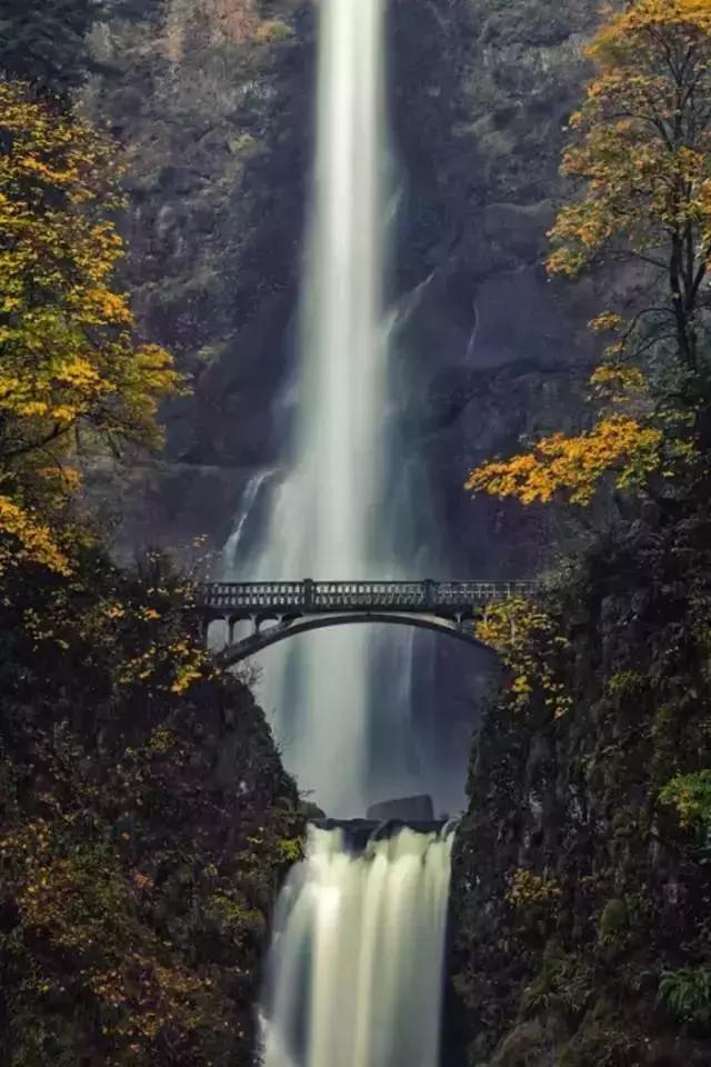 活着,一种责任(写的真好) 活着,一种责任(写的真好)