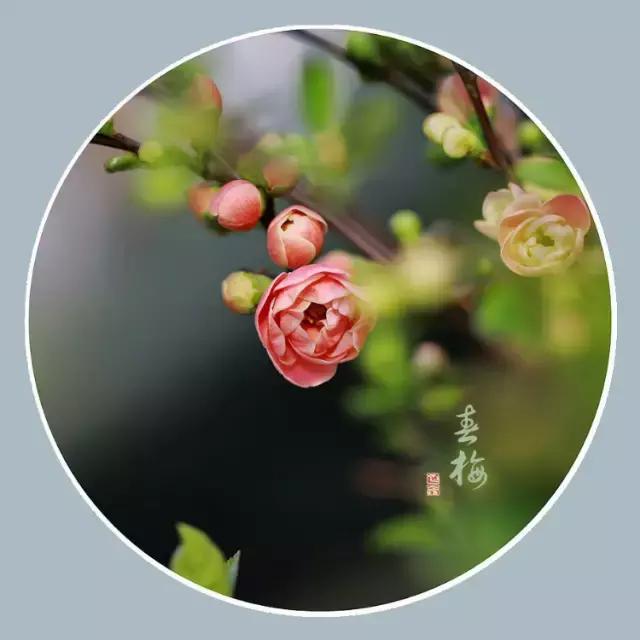 能打开任何人心结的一段话（值得收藏）