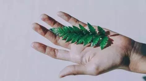 承认吧，有的人你从来不曾忘记
