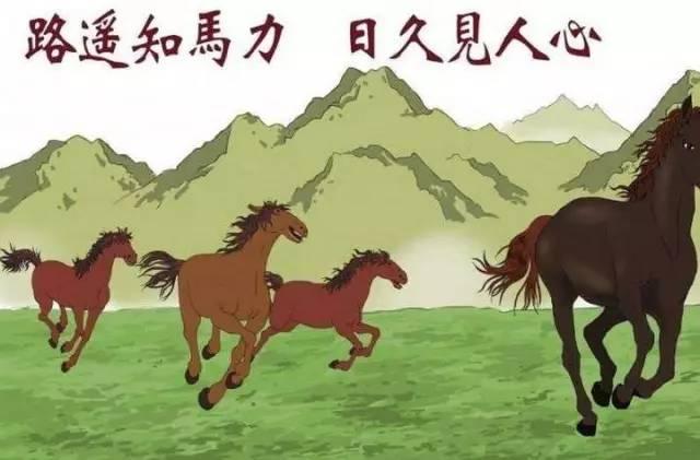 不用太在意别人的眼光