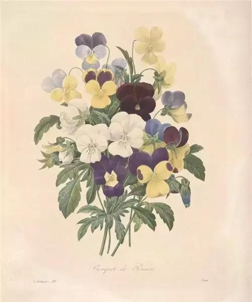 生命中所有的相逢,都是命中注定 生命中所有的相逢,都是命中注定