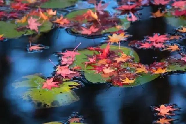 心态好，一切都好，这就是人生