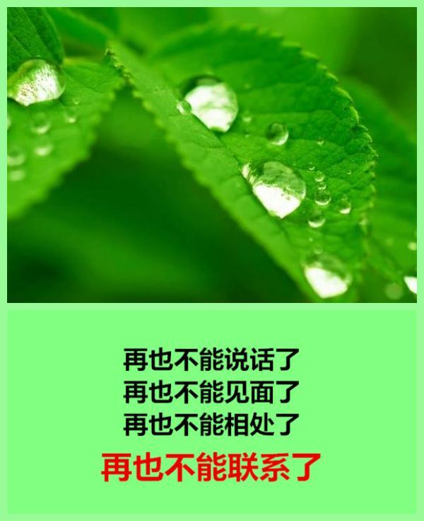 有些人，再也不能联系了