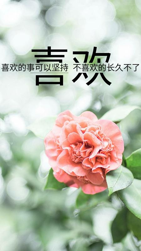 我相信真诚相待，也相信倒霉认栽