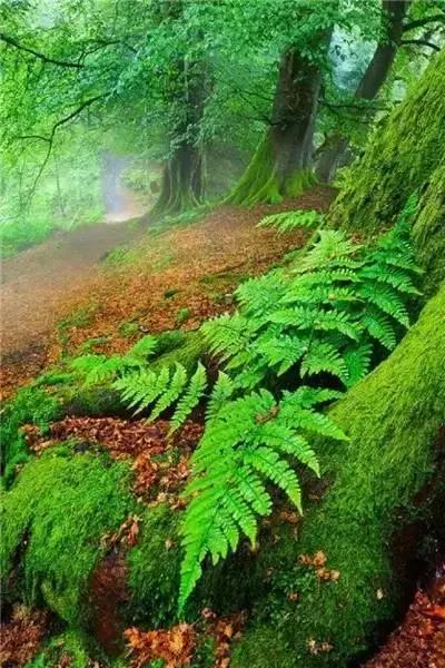 世间万物都是相互的