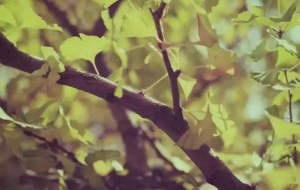 岁月,因情而丰盈 岁月,因情而丰盈