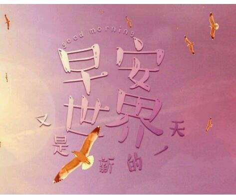 适合你心情的网络经典语录