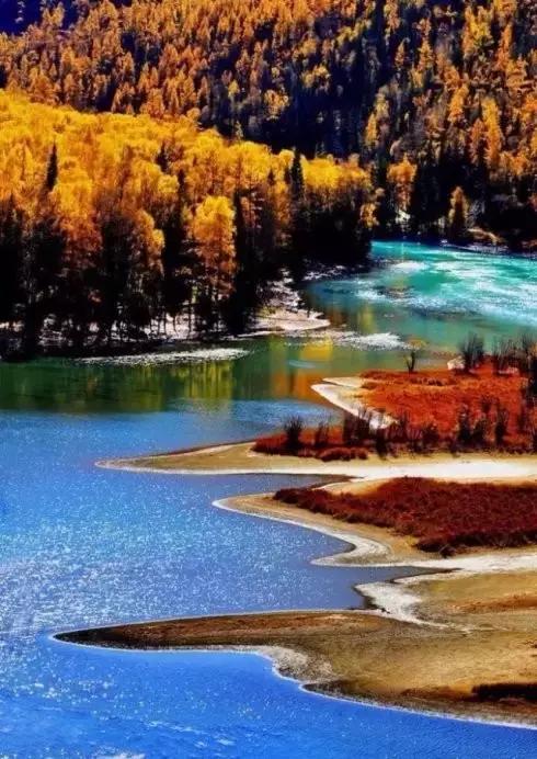 静静地欣赏 静静地欣赏