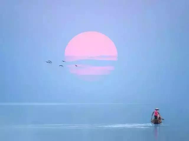 清秋，绽放一树静美