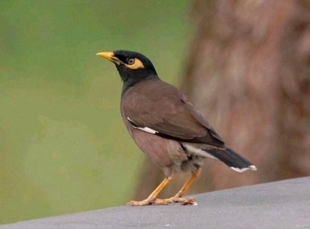 不高看有钱人,不小瞧穷人(精辟) 不高看有钱人,不小瞧穷人(精辟)