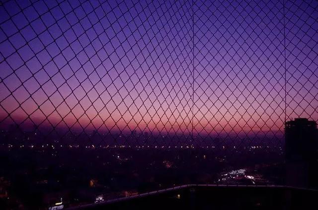 我想变成你，见你所见，爱你所爱