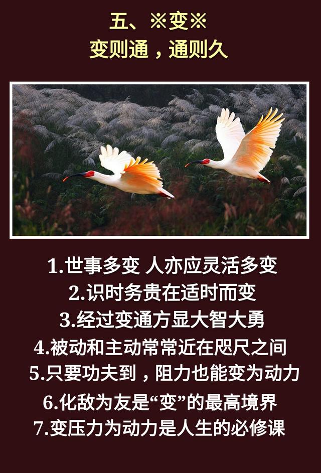 为人处事：一孝，二忍，三稳，四藏，五变，六防，七退