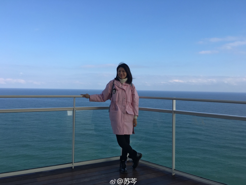 苏岑最新经典语录