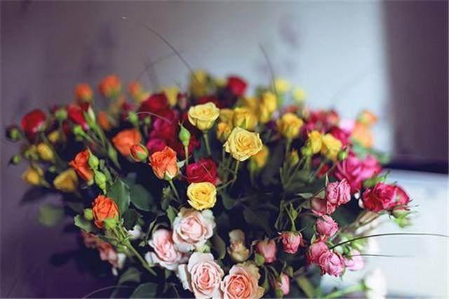 微信里那些说到心坎的一句话经典语录 微信里那些说到心坎的一句话经典语录