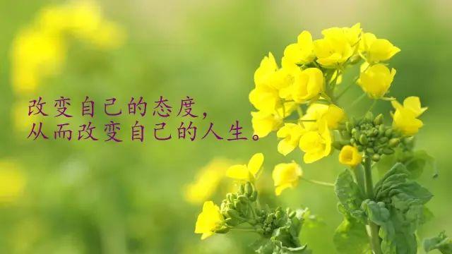 激励人积极向上的正能量经典语录，人生这一路，可以哭但不能怂