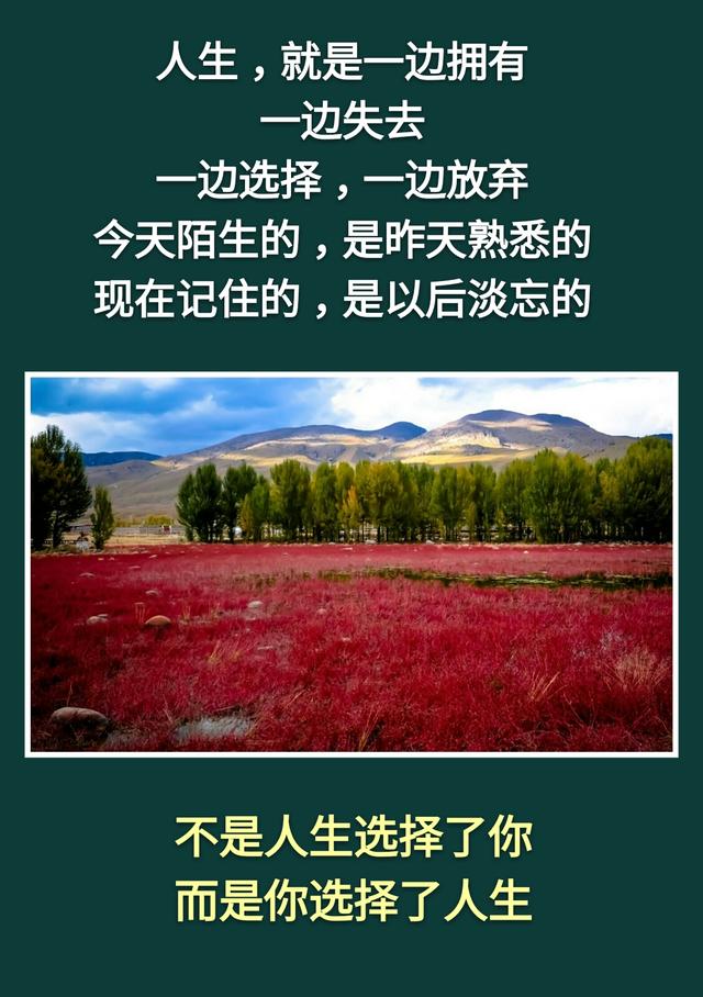 人活着：不累，是木头；不痛，是砖头；不苦，是石头