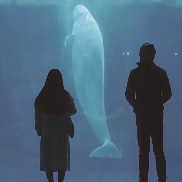 比珍珠还真的经典语录