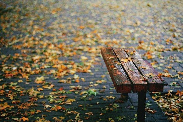一场秋雨一场寒……