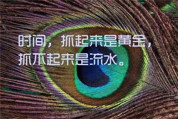 20句励志语录，这才是正能量励志的句子