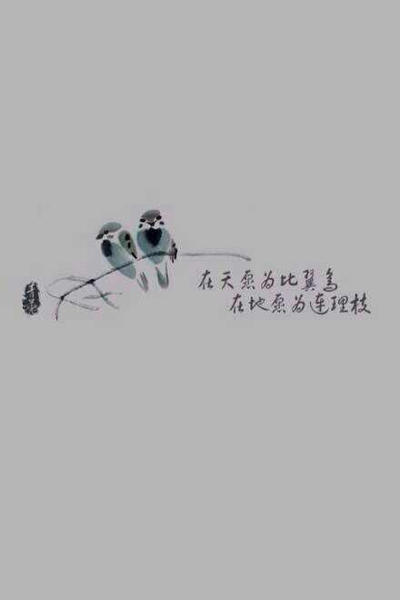 有哲理的微信语录