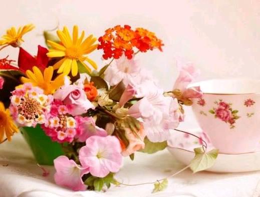 qq空间感悟人生的图片说说短语 qq空间感悟人生的图片说说短语