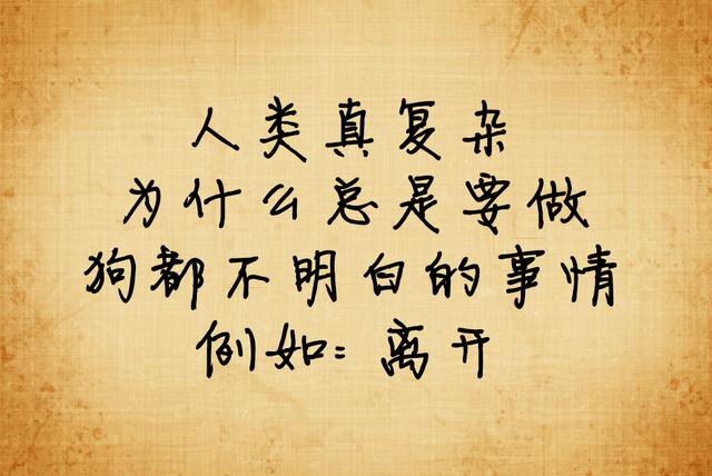 朋友圈最流行的电影台词