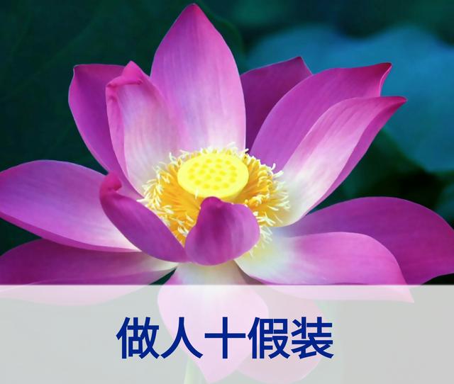 放下面子做人，但不可弯腰