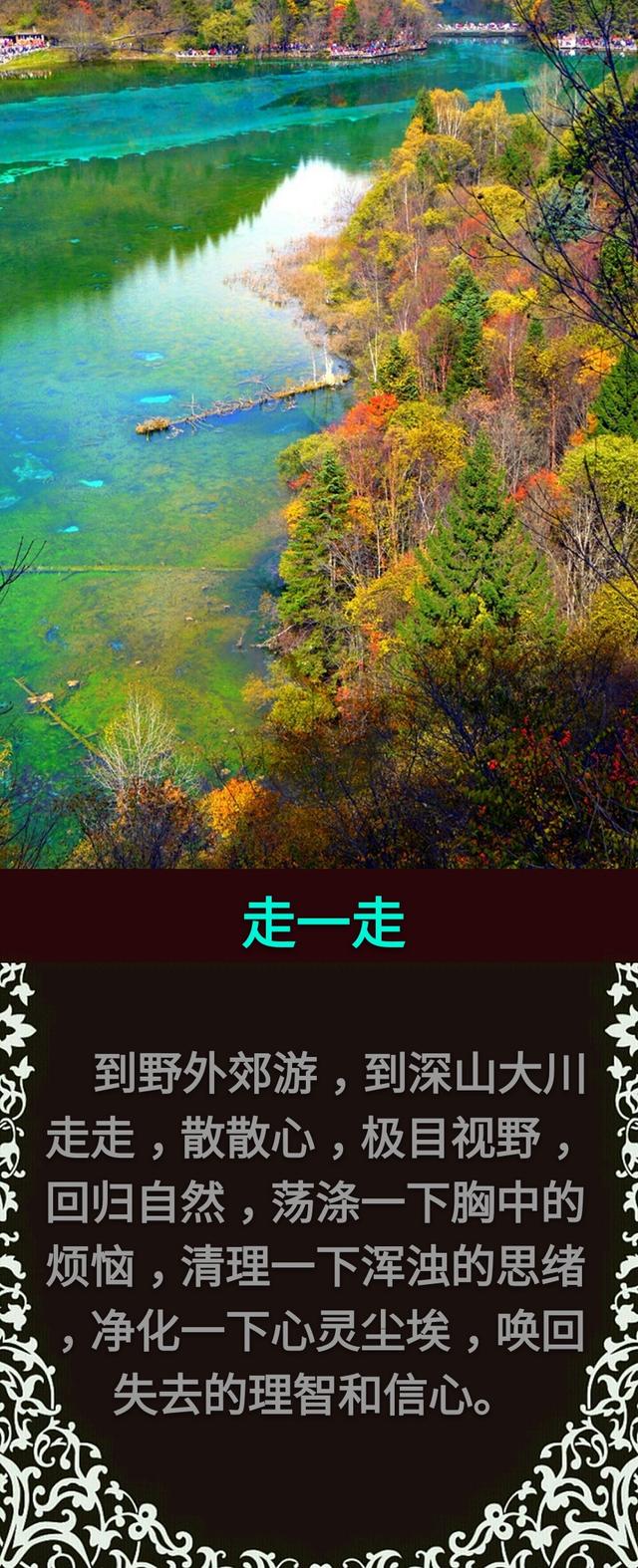 比一比，放一放，会一会，乐一乐，让一让「值得收藏」