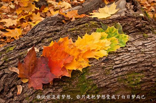 人生语录：十句让你看透人生的话，好好参悟