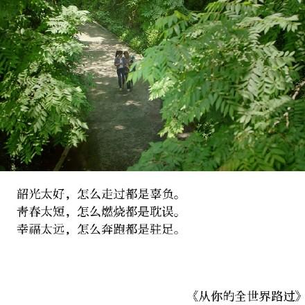 九句唯美经典语录