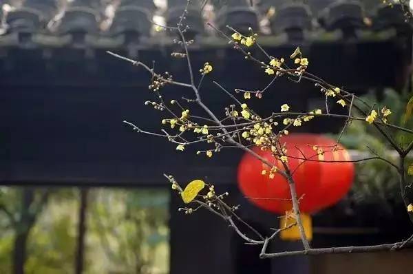 生活不是眼前的苟且，生活有诗和远方