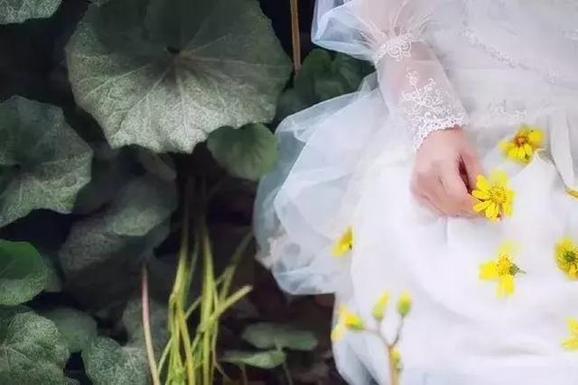 在心里种花，人生才不会荒芜