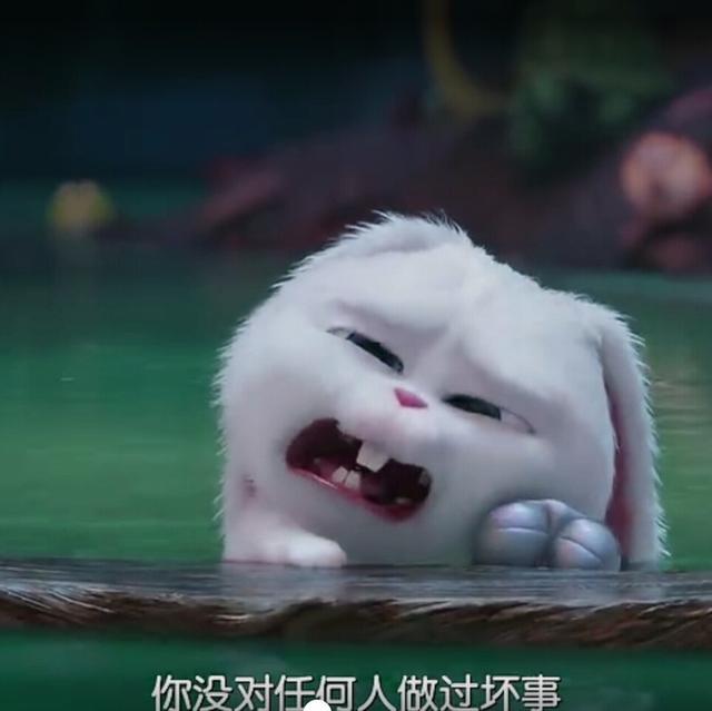 经典搞笑语录，这鸡汤有毒
