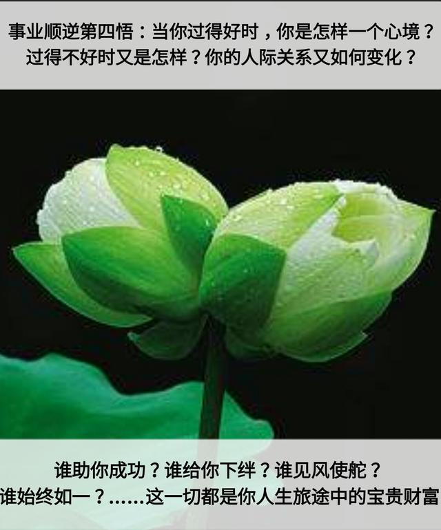 人生：7层次，7道坎，7恩人，7觉悟，7境界