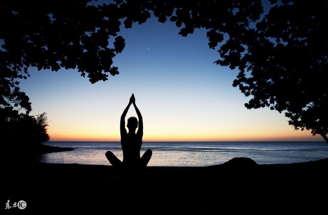 周国平:醉无用之酒,钟无用之情 周国平:醉无用之酒,钟无用之情