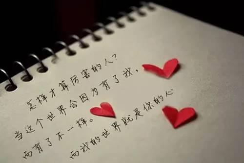没有受过伤的人，才会讥笑别人身上的伤痕