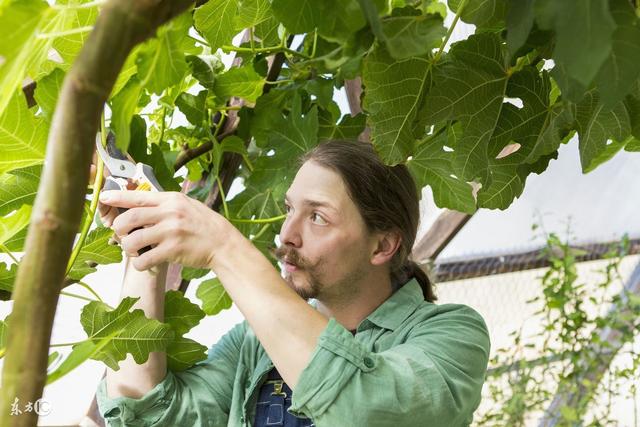 杨澜：人很少是被累死的，只有被烦死的