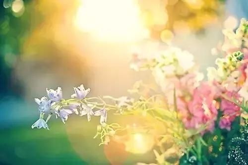 人生路上五句话 人生路上五句话