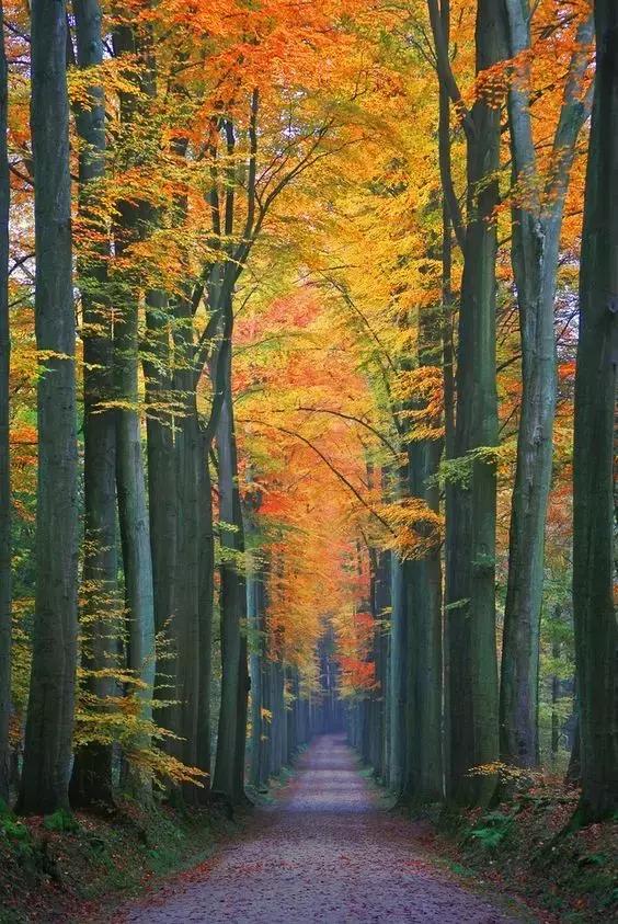 学会控制本人的心情，进步修养，悲观处世