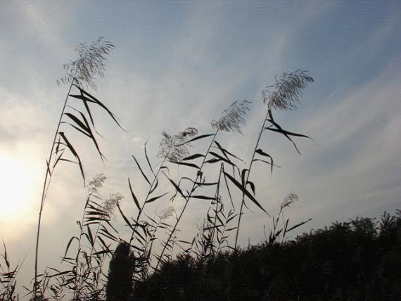 学着控制好自己的心情，看淡一切