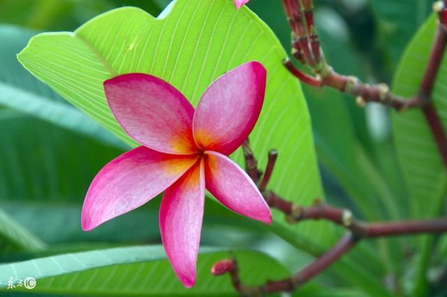 真正聪明的人，往往朋友都不多，太现实了