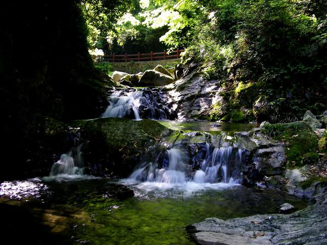 生命的每一天,自在的过 生命的每一天,自在的过