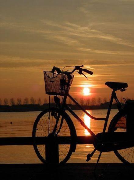 村上春树的经典语录,我最喜欢这句 村上春树的经典语录,我最喜欢这句