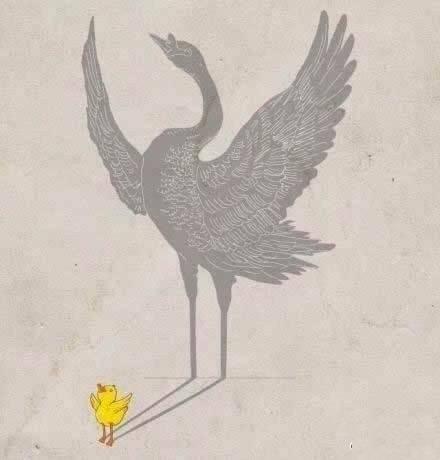 余生很长，何必慌张？