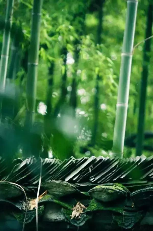 最美的心境：静心和沉稳