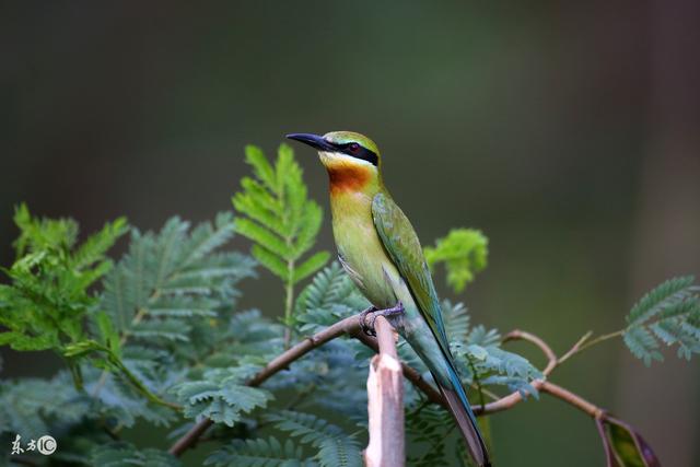 人生九悟,看完我也醒悟了 人生九悟,看完我也醒悟了