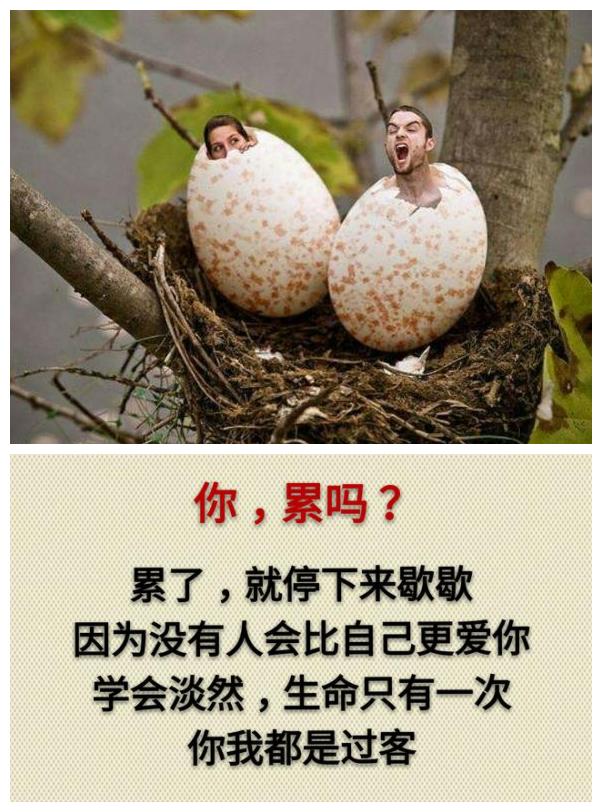 你累吗？（累就看看）